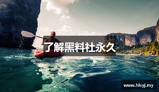 了解黑料社永久